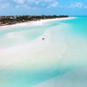 https://hotel-mayari-holbox.quintano-roohotels.com